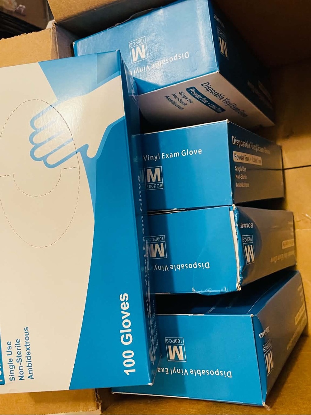Disposable Vinyl Exam Gloves - Blue (Pack of 100)